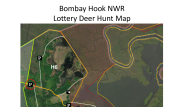 Bombay Hook lottery deer Hunt map.pdf