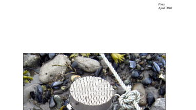 IV.B.1.h5 Assessment of Remaining Oil from the M/V Selendang Ayu Spill as of 2008 - Chap 3 Figures