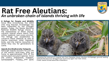 Rat Free Aleutians: An unbroken chain of islands thriving with life