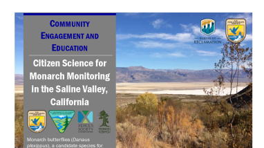 Citizen Science Monarch Monitoring Handout