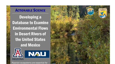 Developing a Database Handout