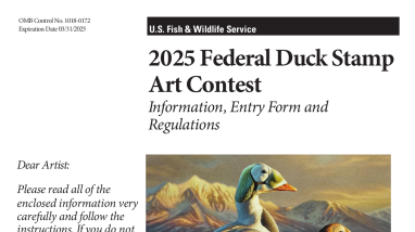 2025 Federal Duck Stamp Art Contest Regulations