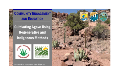 Cultivating Agave Handout