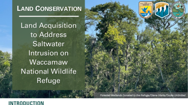 Land Acquisition to Address Saltwater Intrusion Handout