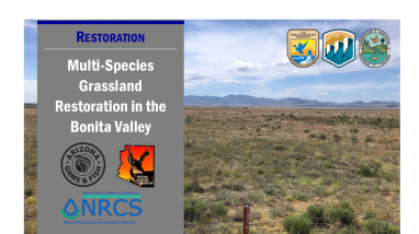 Multi-species Grassland Restoration Handout