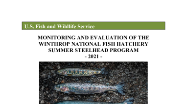 Monitoring and evaluation of the Winthrop National Fish Hatchery summer steelhead program 2021