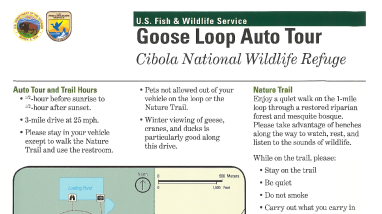 Goose Loop Auto Tour of Cibola NWR