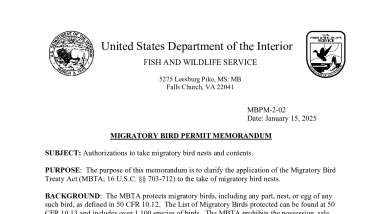 MBPM-2-02: Authorizations to take migratory bird nests and contents