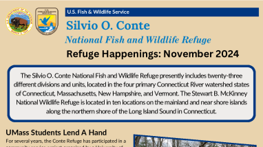 Conte Refuge Happenings November 2024