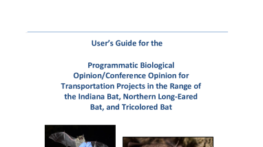 User’s Guide (with Appendices A-E) for the Range-wide Programmatic Consultation for Indiana Bat and Northern Long-eared Bat