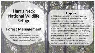 Harris Neck Forest Management Information Poster