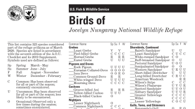 Jocelyn Nungaray National Wildlife Refuge Bird Checklist