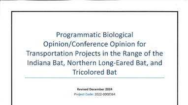 Programmatic Biological Opinion/Conference Opinion for Transportation Projects in the Range of the Indiana Bat, Northern Long-Eared Bat, and Tricolored Bat