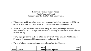2024-25 Survey Summary