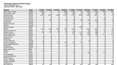 BNWR Winter 2025 Waterfowl Survey