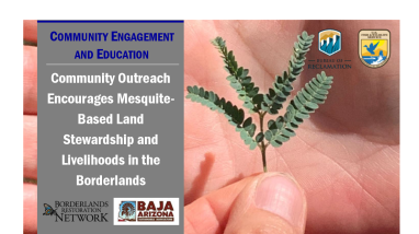Community Outreach Encourages Mesquite-Based Land Stewardship and Livelihoods in the Borderlands