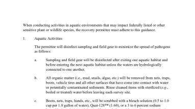 Guidance When Conducting Aquatic Activities
