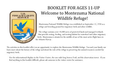 Montezuma's Junior Refuge Manager Activity Booklet (Ages 11+)