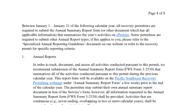 Simple Annual Reporting Guidelines