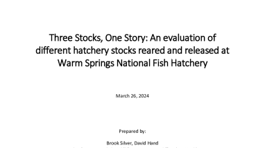 Three Stocks, One Story: An evaluation of different hatchery stocks reared and released at Warm Springs National Fish Hatchery