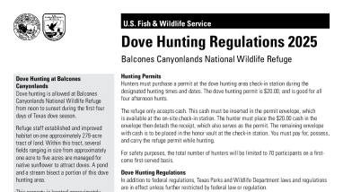 Balcones Canyonlands NWR Dove Hunt 2025