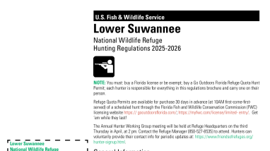 Refuge Hunt Brochure Lower Suwannee NWR