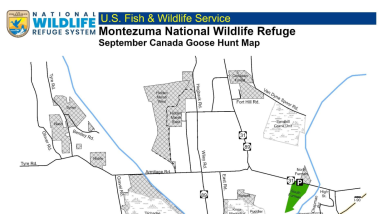 September Canada Goose Hunt Regulations 2025 Montezuma NWR