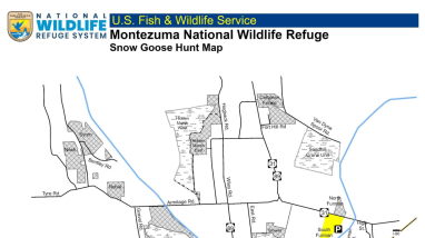 Snow Goose Hunt Regulations 2025-2026 Montezuma NWR