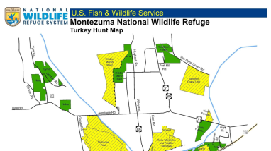 Wild Turkey Hunt Regulations 2025 Montezuma NWR