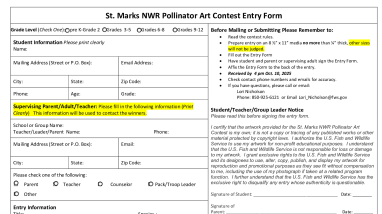 2025 Pollinator Art Contest Entry Form