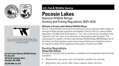 Pocosin Lakes NWR Hunting and Fishing Regulations 2025-2026