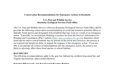 Conservation Recommendations for Emergency Actions in Kentucky