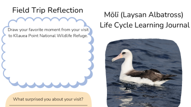 Laysan Albatross Printable Student Workbook