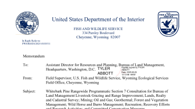 Programmatic Biological Opinion for the Effects on Whitebark Pine from All Bureau of Land Management Activities