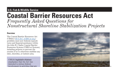 Frequently Asked Questions for Nonstructural Shoreline Stabilization Projects