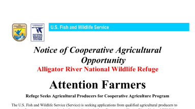 Alligator River NWR Notice of Cooperative Agriculture Opportunity 2026-2030