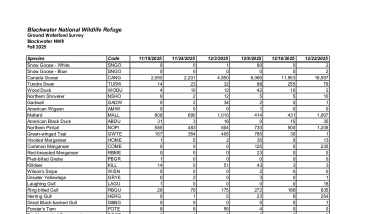 BNWR Fall 2025 Waterfowl Survey