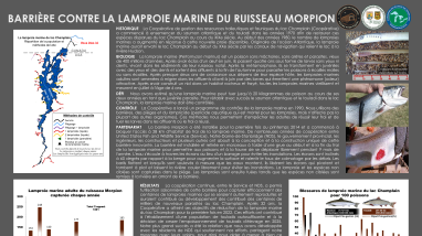 LCFWCO - SLC - 2025 Morpion Poster French