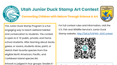 2024 Utah Junior Duck Stamp Art Contest Flyer for Teachers
