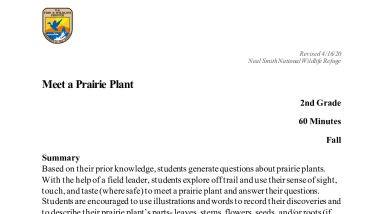 2nd-grade-Meet-a-Prairie-Plant-508.pdf