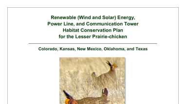Archived: Lesser prairie-chicken renewable energy Habitat Conservation Plan documents