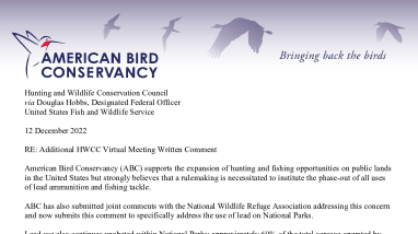 ABC Lead Comments NPS - HWCC