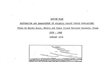 Action Plan - Restoration & Enhancement of Atlantic Ridley Turtle Populations Rancho Nuevo and PINS 1978-1988