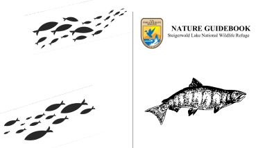 Activity Guidebook - SLNWR.pdf