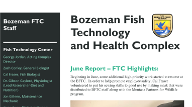Bozeman FTC_FHC June report-'20_508 compliant.pdf