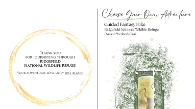 Choose Your Own Adventure - RNWR.pdf