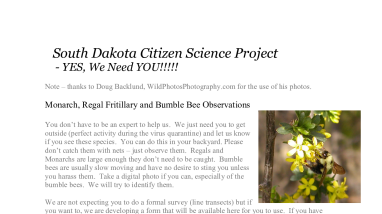 CitizenScience_Butterflies_BB.pdf