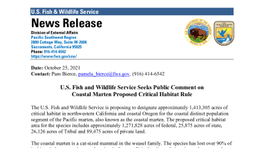 Coastal Marten pCH - Press Release - FINAL