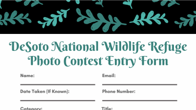 Photo Contest Entry Form.pdf