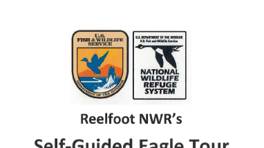 Self-Guided Eagle Tour Packet
